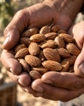 Two hands holding freshly harvested organic almonds from the Kontogiannis family farm near Corinth